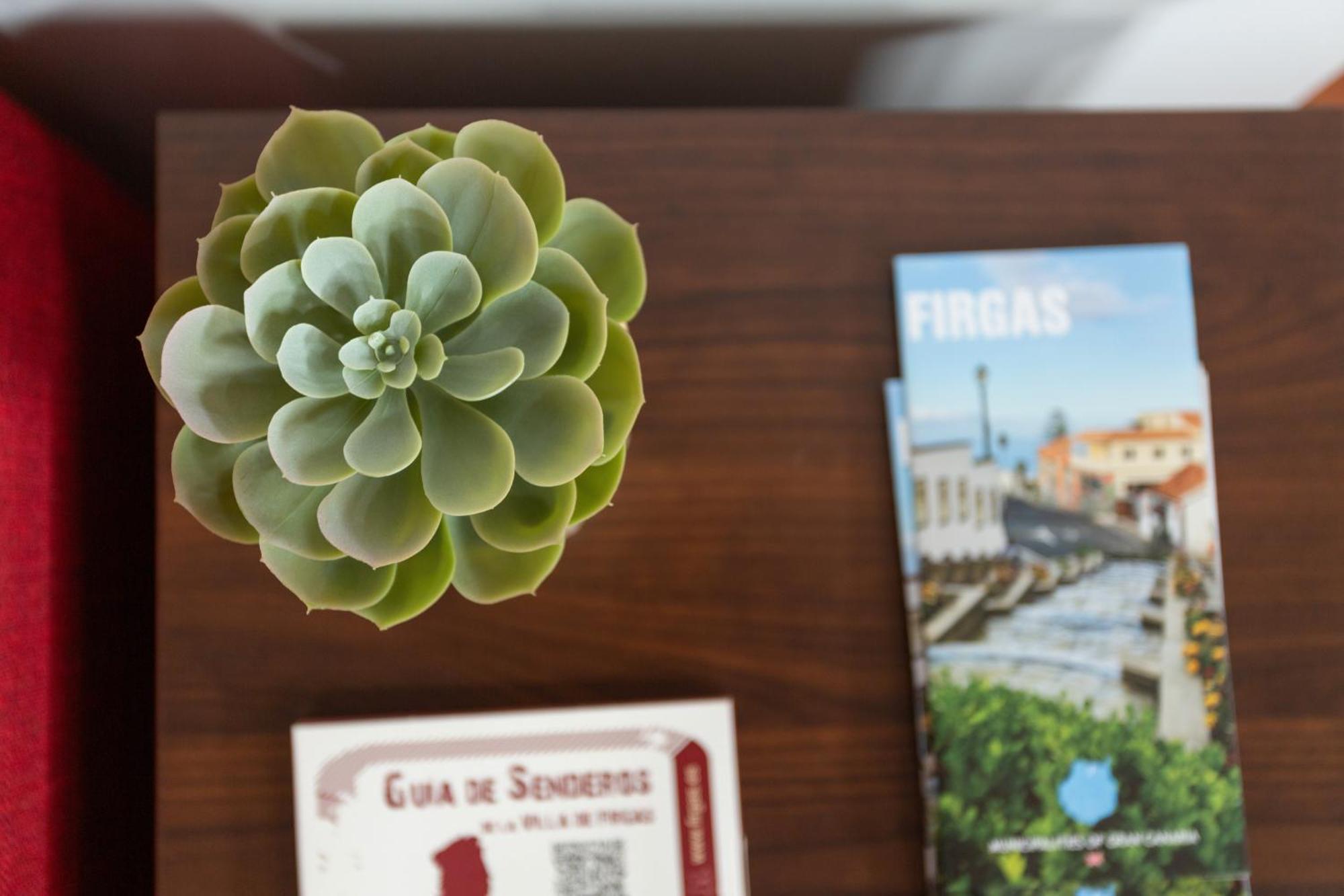 Apartament Casa Alejandro Firgas Zewnętrze zdjęcie